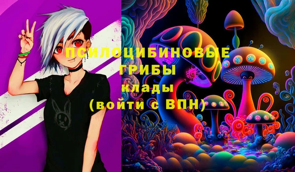 гидра Алзамай