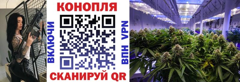 Каннабис планчик Ивантеевка